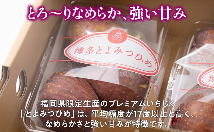 期間限定 いちじく 「とよみつひめ」 1.2kg 福岡県産ブランド フルーツ 無花果 (約300g×4パック) 1200g南国フルーツ CO013