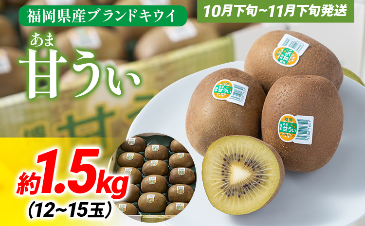 期間限定 福岡県産ブランドキウイ「甘うぃ」美容 健康 ビタミンC キウイフルーツ 1.5kg  南国フルーツ CO014