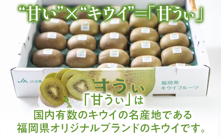 期間限定 福岡県産ブランドキウイ「甘うぃ」美容 健康 ビタミンC キウイフルーツ 1.5kg  南国フルーツ CO014