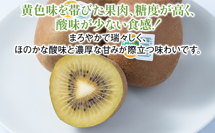 期間限定 福岡県産ブランドキウイ「甘うぃ」美容 健康 ビタミンC キウイフルーツ 1.5kg  南国フルーツ CO014