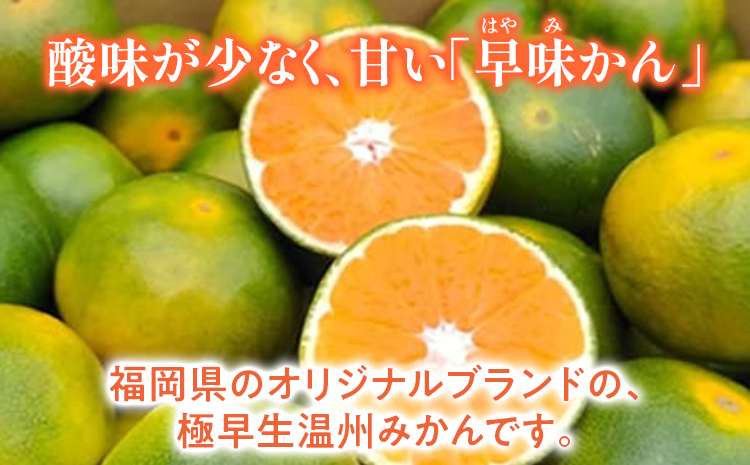 期間限定 みかん 福岡県産ブランド 「早味かん」 フルーツ 返礼品 お取り寄せグルメ お取り寄せ グルメ 果物 2kg 南国フルーツ CO016 