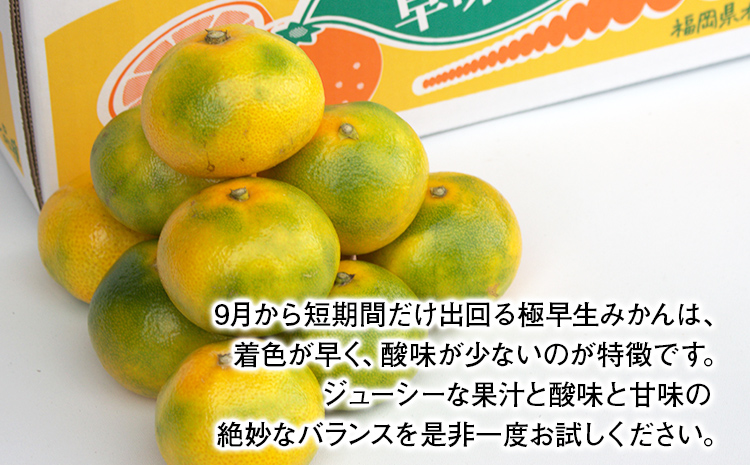 期間限定 みかん 福岡県産ブランド 「早味かん」 フルーツ 返礼品 お取り寄せグルメ お取り寄せ グルメ 果物 2kg 南国フルーツ CO016 