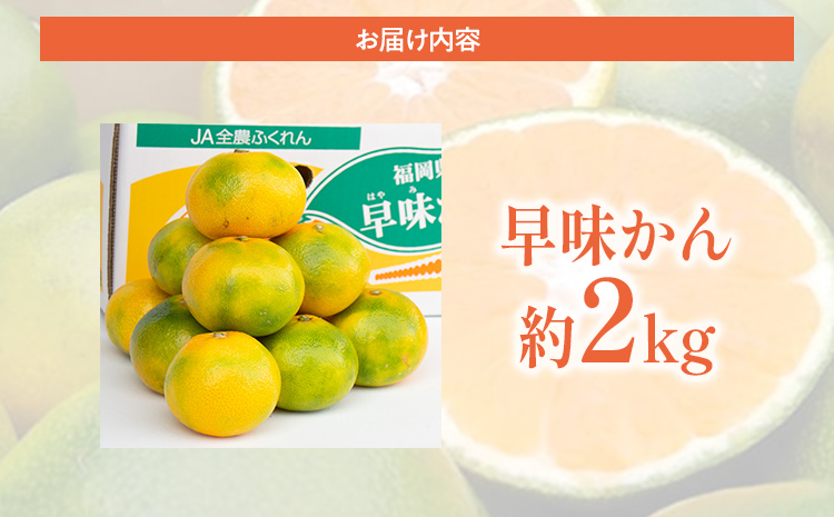 期間限定 みかん 福岡県産ブランド 「早味かん」 フルーツ 返礼品 お取り寄せグルメ お取り寄せ グルメ 果物 2kg 南国フルーツ CO016 