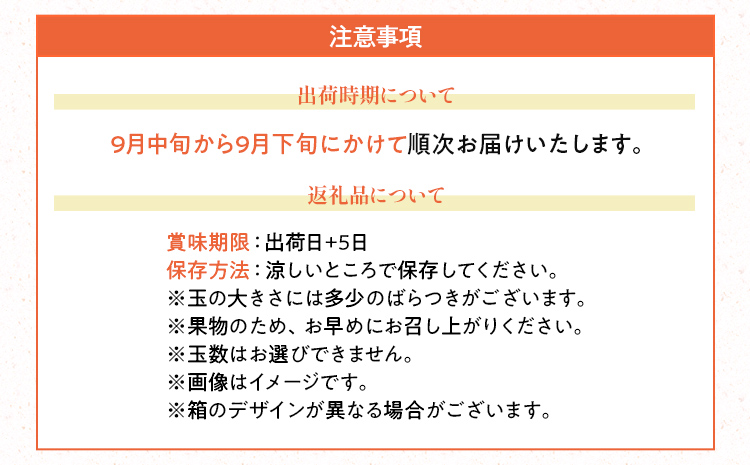 期間限定 みかん 福岡県産ブランド 「早味かん」 フルーツ 返礼品 お取り寄せグルメ お取り寄せ グルメ 果物 2kg 南国フルーツ CO016 