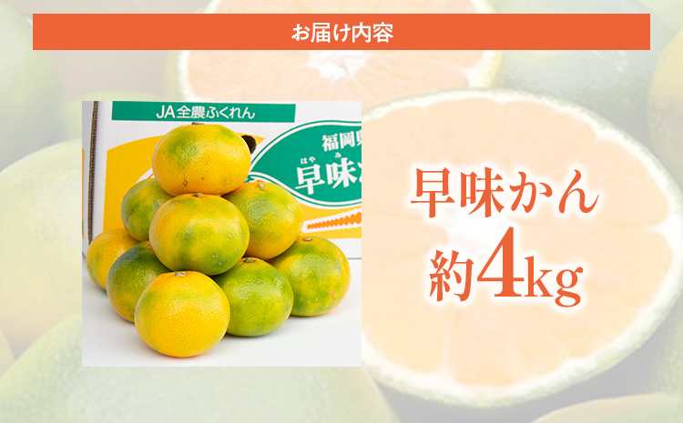 期間限定 みかん 福岡県産ブランド 「早味かん」 フルーツ 返礼品 お取り寄せグルメ お取り寄せ グルメ 果物 4kg 南国フルーツ CO017