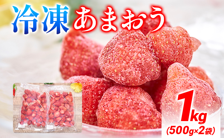 福岡産 冷凍あまおう 1kg(500g×2袋) あまおう イチゴ いちご スイーツ 果物 フルーツ 送料無料 冷凍フルーツ ジャム 苺 ケーキ スムージー いちご飴 かき氷 フルーツ大福 クリスマス 大木町産 南国フルーツ CO026