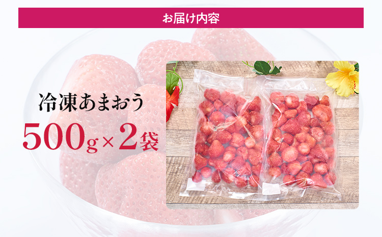 福岡産 冷凍あまおう あまおう イチゴ いちご スイーツ 果物 フルーツ 送料無料 冷凍フルーツ ジャム 苺 ケーキ スムージー いちご飴 かき氷 フルーツ大福 クリスマス 大木町産 南国フルーツ CO026