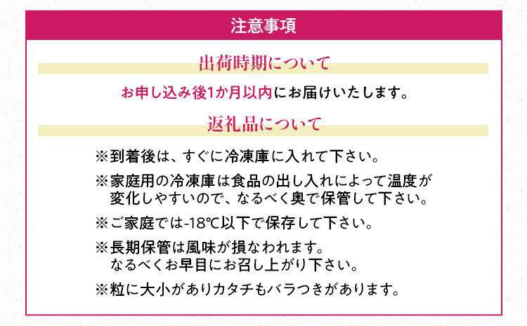 福岡産 冷凍あまおう あまおう イチゴ いちご スイーツ 果物 フルーツ 送料無料 冷凍フルーツ ジャム 苺 ケーキ スムージー いちご飴 かき氷 フルーツ大福 クリスマス 大木町産 南国フルーツ CO026