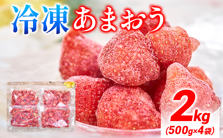 福岡産 冷凍あまおう 2kg(500g×4袋) あまおう イチゴ いちご スイーツ 果物 フルーツ 送料無料 冷凍フルーツ ジャム 苺 ケーキ スムージー いちご飴 かき氷 フルーツ大福 クリスマス 大木町産 南国フルーツ CO027