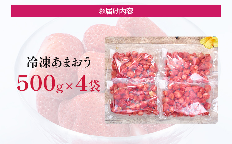 福岡産 冷凍あまおう あまおう イチゴ いちご スイーツ 果物 フルーツ 送料無料 冷凍フルーツ ジャム 苺 ケーキ スムージー いちご飴 かき氷 フルーツ大福 クリスマス 大木町産 南国フルーツ CO026