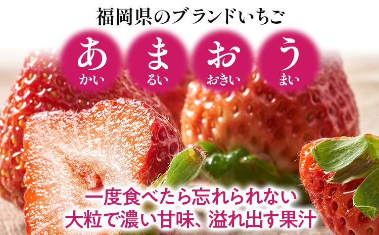 福岡産 あまおうジャム 合計540g 180g×3個 あまおう イチゴ いちご ジャム 朝食 食パン 果物 フルーツ アイス 送料無料 加工食品 詰め合わせ フルーティー 果肉 風味 食感 こだわり 大木町産 南国フルーツ CO028