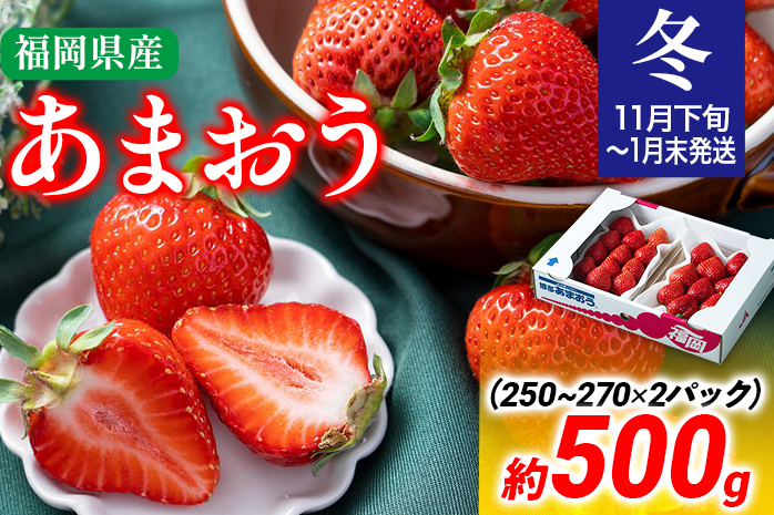 福岡産【冬】あまおう 約500g いちご 苺 果物 フルーツ 九州産 福岡県産 冷蔵 送料無料 【11月下旬発送開始予定】 イチゴ フルーツ 果物 くだもの ※北海道・沖縄・離島は配送不可 大木町産 南国フルーツ CO001