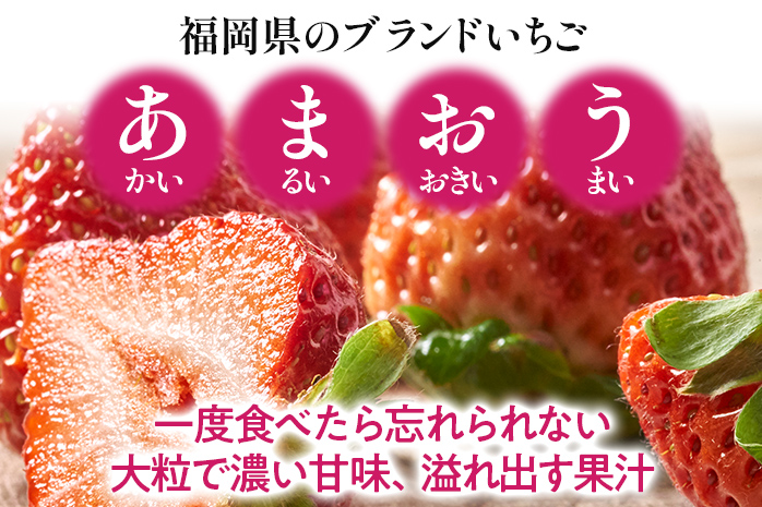 福岡産【冬】あまおう 約500g いちご 苺 果物 フルーツ 九州産 福岡県産 冷蔵 送料無料 【11月下旬発送開始予定】 イチゴ フルーツ 果物 くだもの ※北海道・沖縄・離島は配送不可 大木町産 南国フルーツ CO001