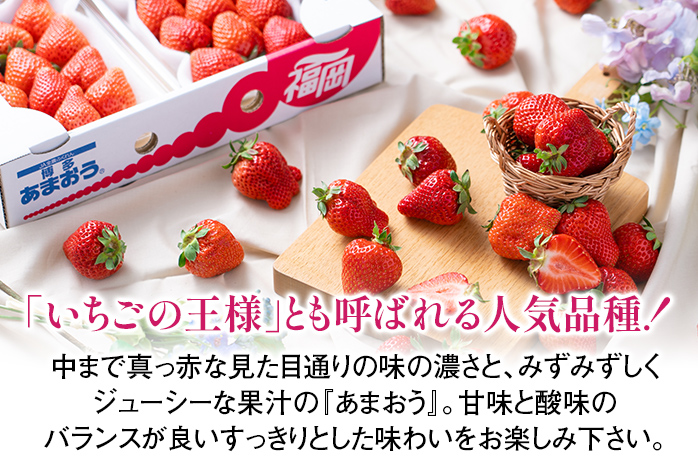 福岡産【冬】あまおう 約500g いちご 苺 果物 フルーツ 九州産 福岡県産 冷蔵 送料無料 【11月下旬発送開始予定】 イチゴ フルーツ 果物 くだもの ※北海道・沖縄・離島は配送不可 大木町産 南国フルーツ CO001