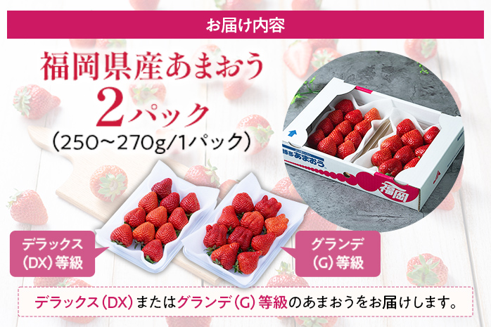 福岡産【冬】あまおう 約500g いちご 苺 果物 フルーツ 九州産 福岡県産 冷蔵 送料無料 【11月下旬発送開始予定】 イチゴ フルーツ 果物 くだもの ※北海道・沖縄・離島は配送不可 大木町産 南国フルーツ CO001