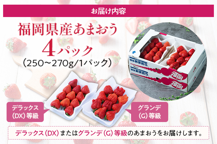 福岡産【冬】あまおう 約1000g いちご 苺 果物 フルーツ 九州産 福岡県産 冷蔵 送料無料 【11月下旬発送開始予定】 イチゴ フルーツ 果物 くだもの ※北海道・沖縄・離島は配送不可 大木町産 南国フルーツ CO002