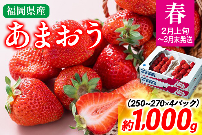 福岡産【春】あまおう 約1000g いちご 苺 果物 フルーツ 九州産 福岡県産 冷蔵 送料無料 【2月上旬発送開始予定】デザート イチゴ ブランド 国産 甘味 ※北海道・沖縄・離島は配送不可 大木町産 南国フルーツ CO003