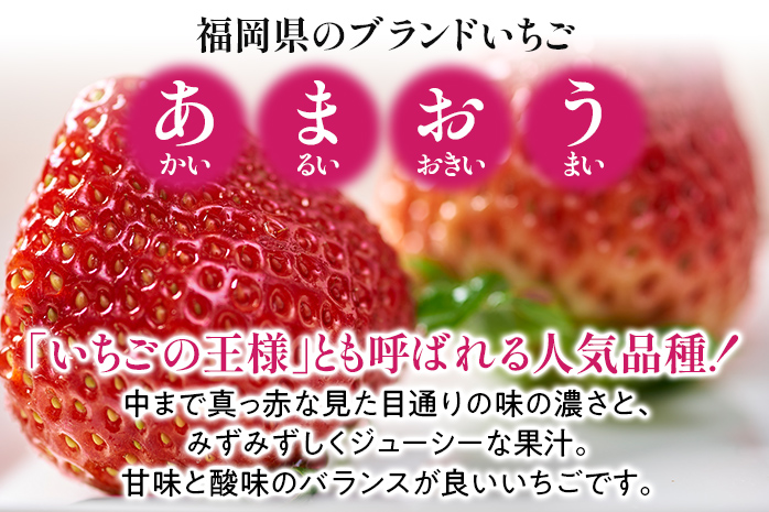 あまおう 1パック＆ふくや味の明太子100g 辛子明太子 明太子 惣菜 あまおう イチゴ いちご スイーツ 果物 フルーツ 送料無料【11月下旬発送開始予定】 ※北海道・沖縄・離島は配送不可 大木町産 南国フルーツ CO007