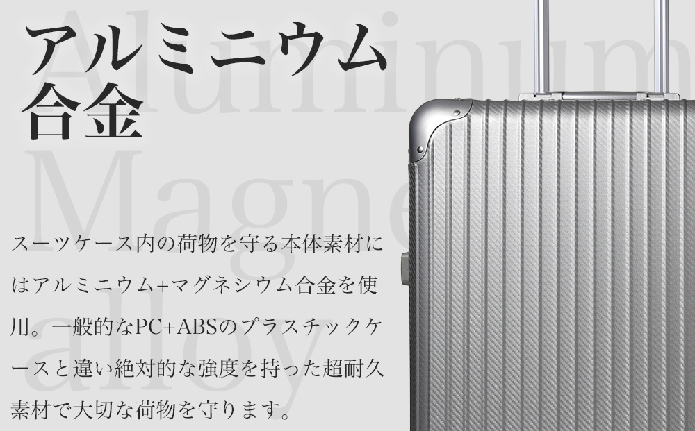 [PROEVO] アルミスーツケース フレームキャリー 修学旅行に最適 M [30002] 福岡県 大木町 株式会社 レクサス AY329