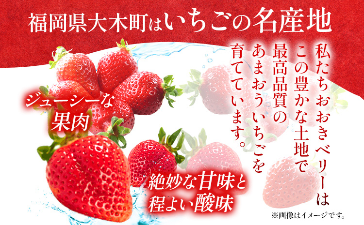 期間限定 いちご 苺 540g あまおう（大玉）、2パック（270g/パック）【2025年2月以降順次発送】 フルーツ 果物 ※北海道・沖縄・離島は配送不可 大木町産 おおきベリー CT003
