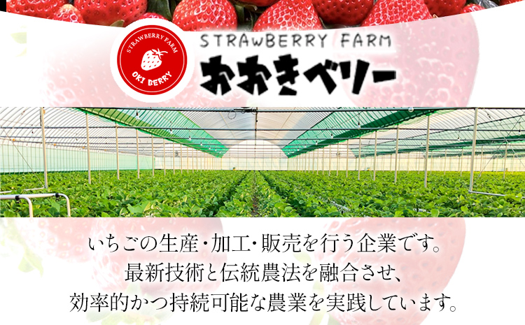 期間限定 いちご 苺 540g あまおう（大玉）、2パック（270g/パック）【2025年2月以降順次発送】 フルーツ 果物 ※北海道・沖縄・離島は配送不可 大木町産 おおきベリー CT003
