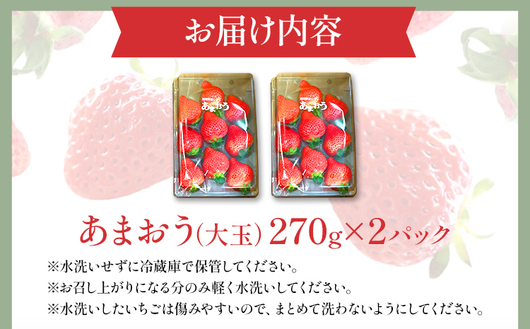 期間限定 いちご 苺 540g あまおう（大玉）、2パック（270g/パック）【2025年2月以降順次発送】 フルーツ 果物 ※北海道・沖縄・離島は配送不可 大木町産 おおきベリー CT003
