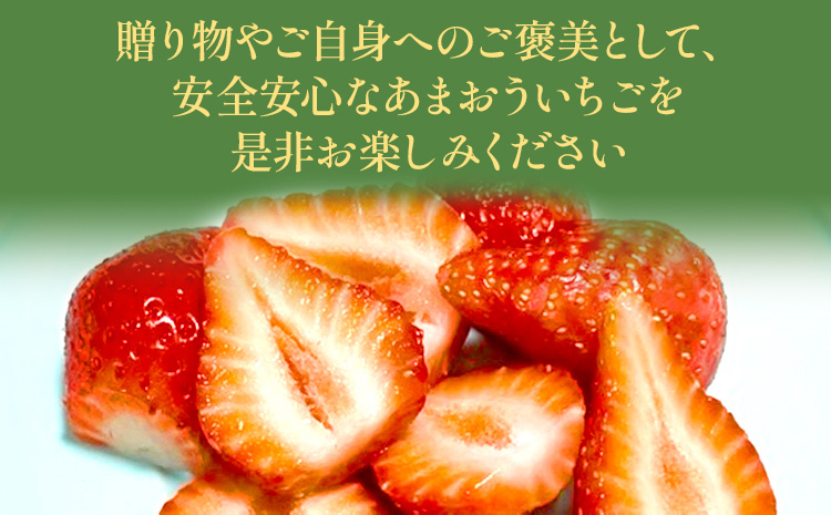 期間限定 いちご 苺 540g あまおう（大玉）、2パック（270g/パック）【2025年2月以降順次発送】 フルーツ 果物 ※北海道・沖縄・離島は配送不可 大木町産 おおきベリー CT003
