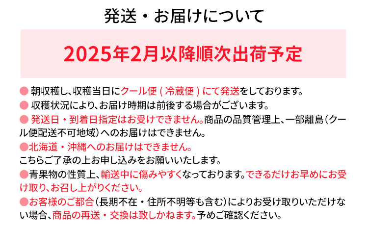 期間限定 いちご 苺 540g あまおう（大玉）、2パック（270g/パック）【2025年2月以降順次発送】 フルーツ 果物 ※北海道・沖縄・離島は配送不可 大木町産 おおきベリー CT003
