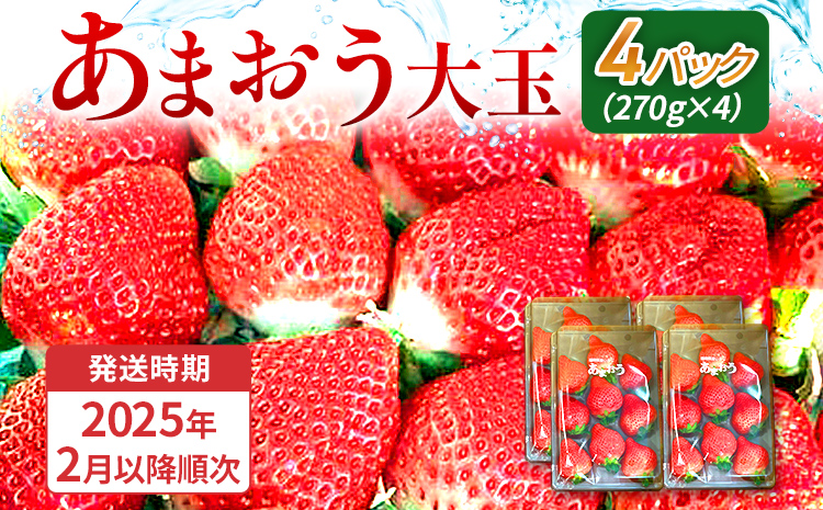 期間限定 いちご 苺 1kg あまおう（大玉）、4パック（270g/パック） 【2025年2月以降順次発送】 フルーツ 果物 ※北海道・沖縄・離島は配送不可 大木町産 おおきベリー CT004