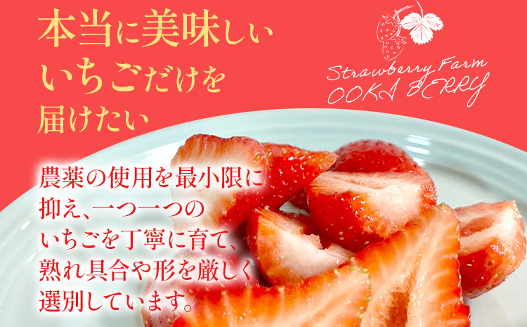 期間限定 いちご 苺 1kg あまおう（大玉）、4パック（270g/パック） 【2025年2月以降順次発送】 フルーツ 果物 ※北海道・沖縄・離島は配送不可 大木町産 おおきベリー CT004