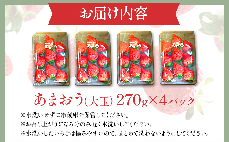 期間限定 いちご 苺 1kg あまおう（大玉）、4パック（270g/パック） 【2025年2月以降順次発送】 フルーツ 果物 ※北海道・沖縄・離島は配送不可 大木町産 おおきベリー CT004