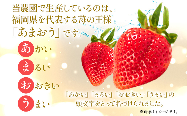 【訳あり】 期間限定 いちご 1.3kg 【訳あり品】あまおう（小玉）、4パック（330g/パック）【2025年2月以降順次発送】 ※北海道・沖縄・離島は配送不可 大木町産 おおきベリー CT005