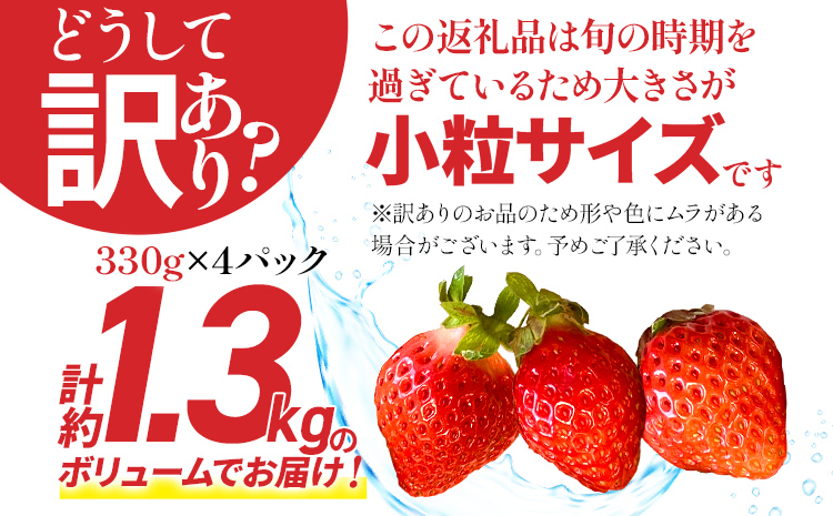 【訳あり】 期間限定 いちご 1.3kg 【訳あり品】あまおう（小玉）、4パック（330g/パック）【2025年2月以降順次発送】 ※北海道・沖縄・離島は配送不可 大木町産 おおきベリー CT005