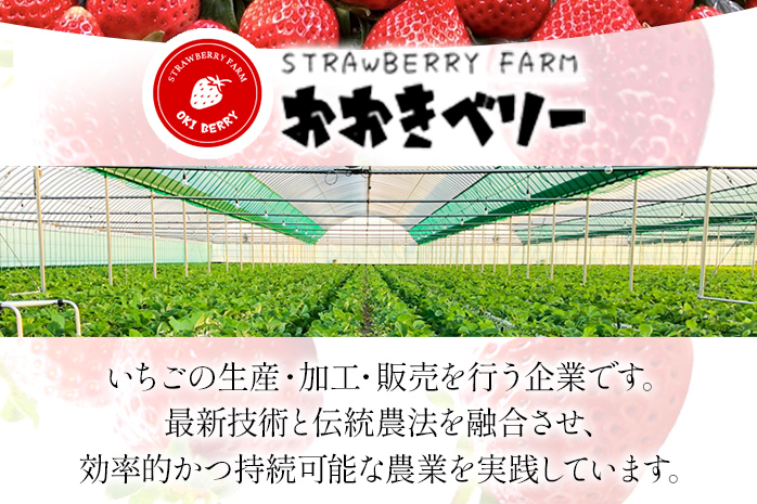 期間限定 いちご あまおう 苺 イチゴ 540g あまおう（大玉）、2パック（270g/パック）【2025年2月以降順次発送】 フルーツ 果物 くだもの 大玉 ※北海道・沖縄・離島は配送不可 大木町産 おおきベリー CT003