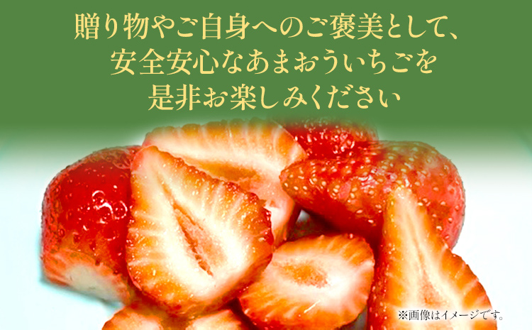 【訳あり】 期間限定 いちご あまおう 苺 イチゴ 1.3kg 【訳あり品】あまおう（小玉）、4パック（330g/パック）【2025年2月以降順次発送】 フルーツ 果物 くだもの 訳あり 小玉 ※北海道・沖縄・離島は配送不可 大木町産 おおきベリー CT005