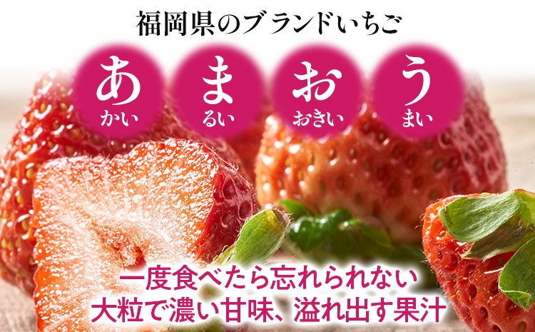 福岡産 あまおうジェラート 100ml×6個 あまおう イチゴ いちご ジェラート スイーツ 果物 フルーツ アイス 送料無料 高級 お返し プレゼント 御見舞 お取り寄せ ストロベリー 苺 南国フルーツ株式会社 CO029