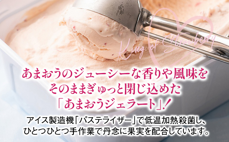 福岡産 あまおうジェラート 1000ml あまおう イチゴ いちご ジェラート スイーツ 果物 フルーツ アイス 送料無料 高級 お返し プレゼント 御見舞 お取り寄せ ストロベリー 苺 南国フルーツ株式会社 CO030