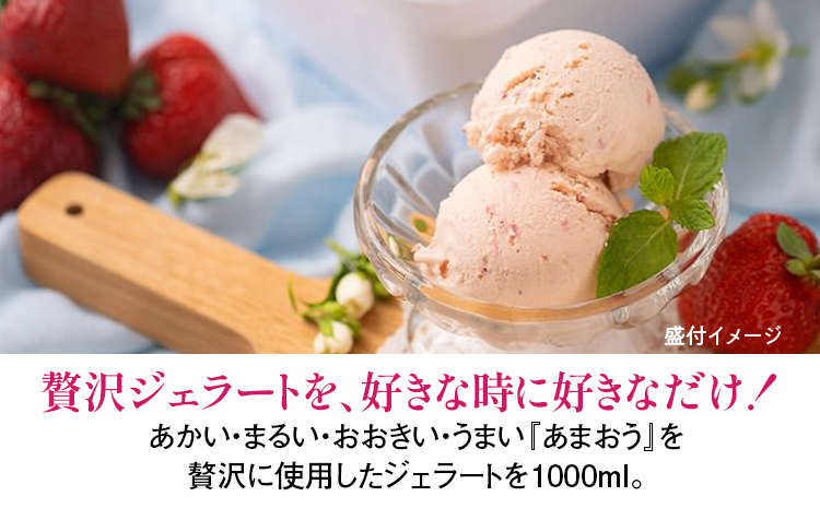 福岡産 あまおうジェラート 1000ml あまおう イチゴ いちご ジェラート スイーツ 果物 フルーツ アイス 送料無料 高級 お返し プレゼント 御見舞 お取り寄せ ストロベリー 苺 南国フルーツ株式会社 CO030