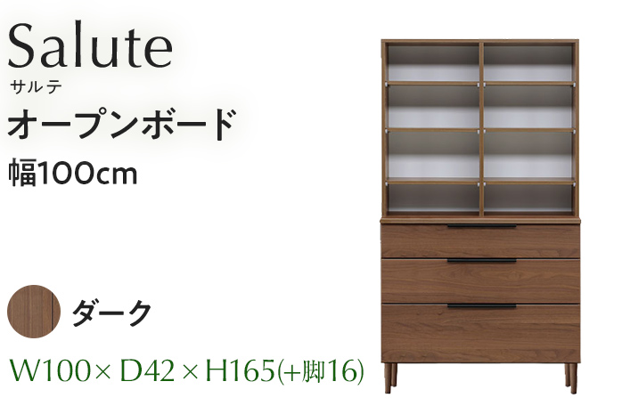 オープンボード Salute サルテ 幅100cm DK ダーク ブラウン 家具 収納 書棚 本棚 完成品 【北海道・東北・沖縄・離島不可】CN019-DK