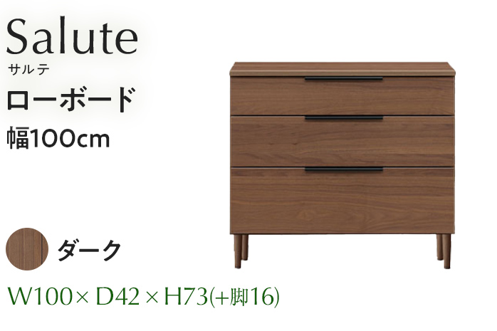 ローボード Salute サルテ 幅100cm DK ダーク ブラウン 家具 収納 書棚 本棚 完成品 【北海道・東北・沖縄・離島不可】CN020-DK