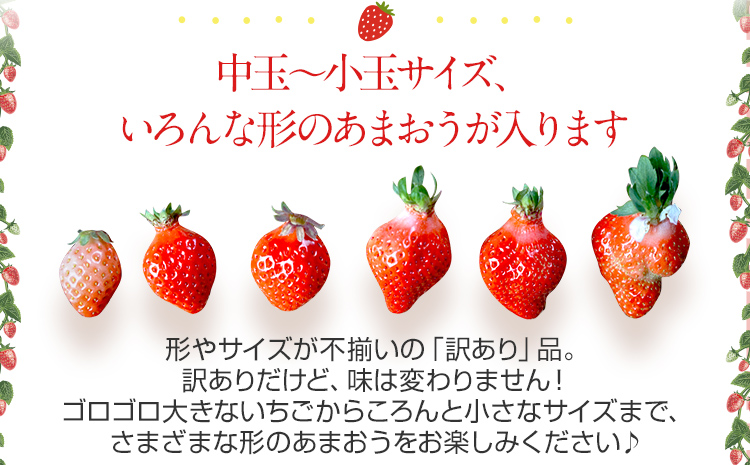 荒巻エコタロウ農園のちょっと小ぶりなたっぷりあまおう1,480g（約370g×4パック) 　中玉～小玉サイズ サイズ不揃い 【2025年2月～4月末にかけて順次出荷予定】BJ02
