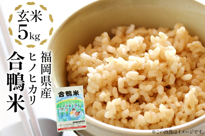 令和6年産 予約 合鴨米「ヒノヒカリ」（玄米・5ｋｇ） ※2024年10月中旬より順次出荷予定　BI03　