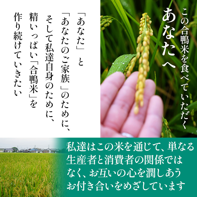 令和6年産 予約 合鴨米「ヒノヒカリ」（玄米・5ｋｇ）定期便6回コース　BI04　※2024年10月中旬より順次出荷予定(隔月発送予定)