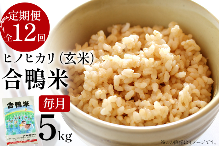 令和6年産 予約 合鴨米「ヒノヒカリ」（玄米・5ｋｇ）定期便12回コース　BI06　※2024年10月中旬より順次出荷予定