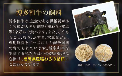 博多和牛しゃぶしゃぶすき焼き用（肩ロース肉・肩バラ・モモ肉）400ｇ 3C15-S