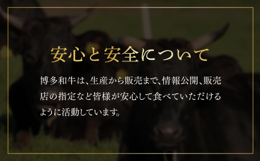 【厳選部位】博多和牛サーロインしゃぶしゃぶすき焼き用　300ｇ 3C14-S