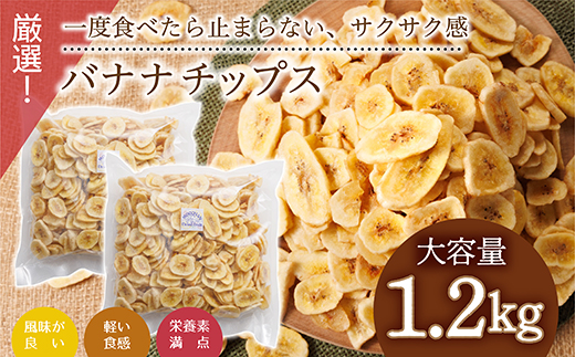 厳選バナナチップス【1.2kg】 3Y2