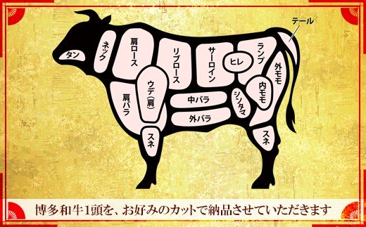 ！！！丸ごと１頭！！！【Ａ５】博多和牛〜いかがですか？〜（８００〜９００ｋｇ） YQ12