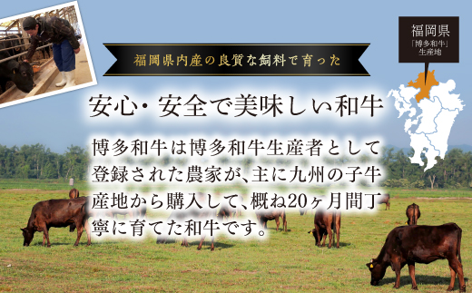 【訳あり】博多和牛切り落とし　5kg(500ｇ×10ｐ） 3C23