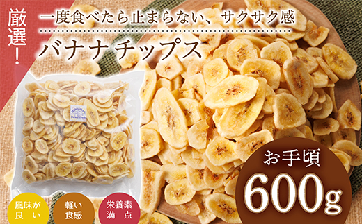 厳選バナナチップス【600g】 3Y1
